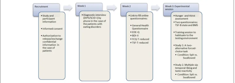 FIGURE 2 | Flow graph of the procedure.