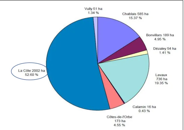 Figure 3 Surface of production per regions 