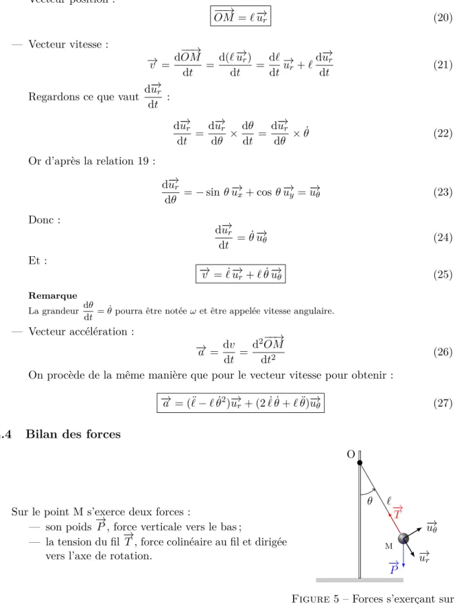 Figure 5 – Forces s’exerçant sur le pendule simple