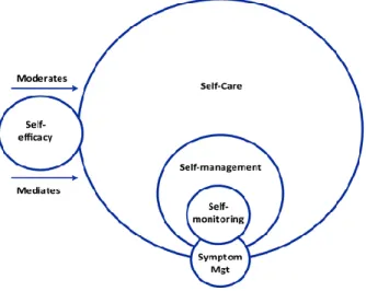 Figure 1. Modèle conceptuel. 