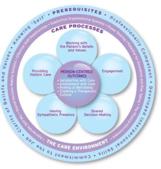 Figure 1: Théorie de soins intermédiaire de McCormack et McCance (2010) 