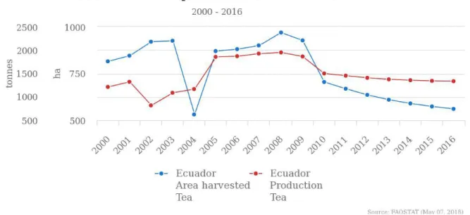 Figure 12 – Tea production in tons in Ecuador, 2000 - 2016