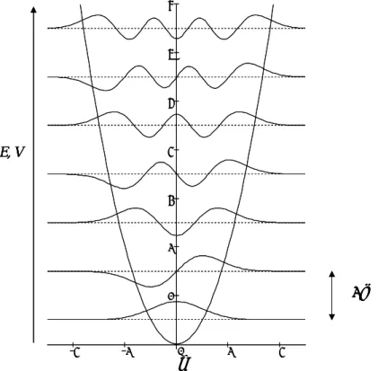 Fig.   2.9. Illustration of the eigenfunctions of a harmonic oscillator. Each eigenfunction is plotted  relative to an origin that corresponds to the eigenenergy (i.e.,  ω /2, 3 ω /2, etc.)
