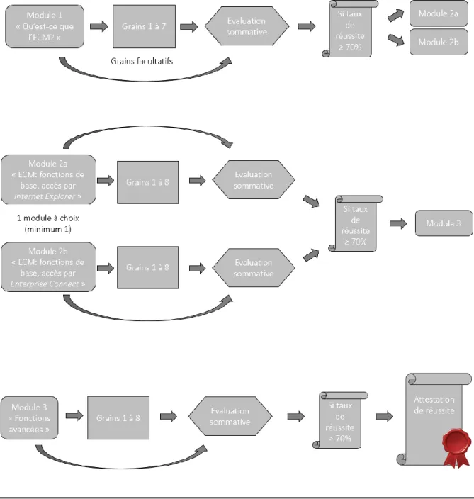 Figure 8 : Proposition de scénarisation de la formation avec la plateforme Edicours 