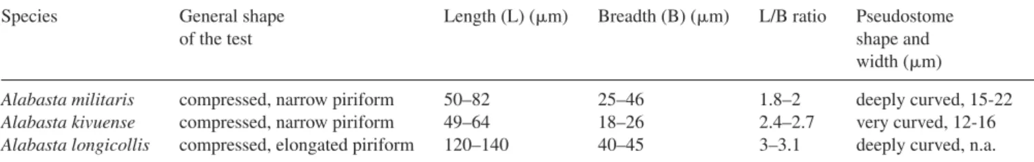 Table 1. Measurements and shape of the different species of Alabasta based on the literature.