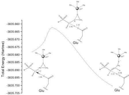 Fig. 1. IRC profile for SB-3CT in the MMP2 active site at the ONIOM(B3LYP/6- ONIOM(B3LYP/6-31G(d):AMBER) level of theory