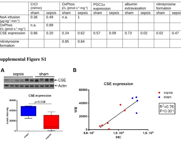 Figure S1: Kidney CSE protein expression levels for sham vs. sepsis, detected by western blot (WB,  A) correlate with kidney CSE expression levels detected by immunohistochemistry (IHC, B)