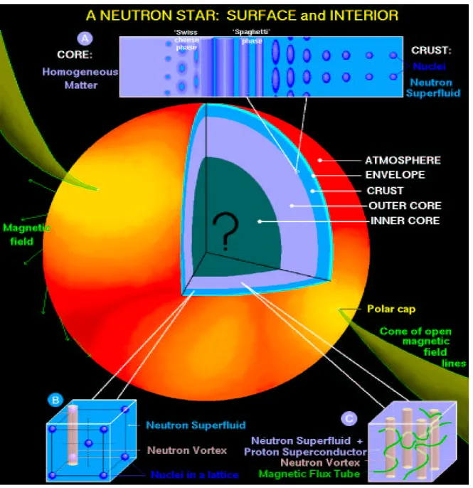 Figure 3.1: The internal composition of a neutron star. The top band illustrates the geometric transitions that might occur, from uniform matter at high densities, to spherical nuclei at low densities