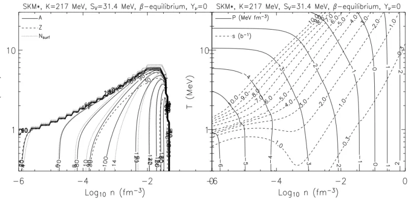 Figure 3.3: Beta equilibrium matter for the SKM ∗ interaction. Left panel: