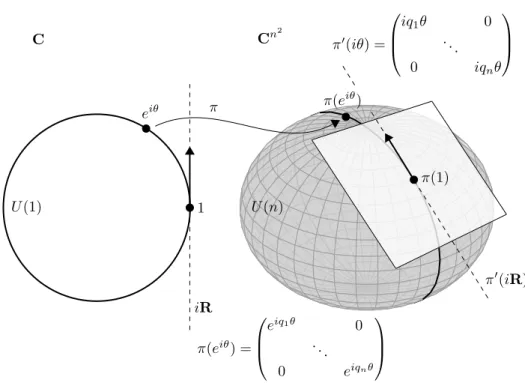 Figure 2.2: Visualizing a representation π : U (1) → U (n), along with its differ- differ-ential.