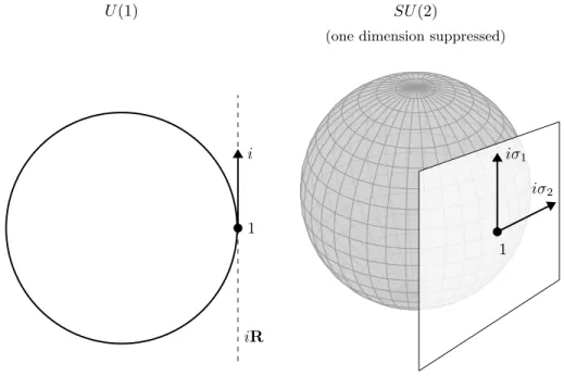 Figure 3.1: Comparing the geometry of U (1) as S 1 to the geometry of SU (2) as S 3 .