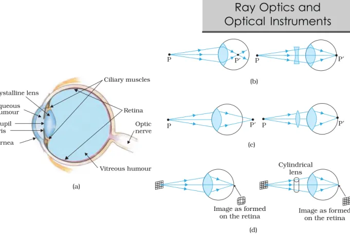 FIGURE 9.29 (a) The structure of the eye; (b) shortsighted or myopic eye and its correction;