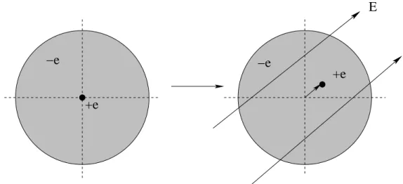 Figure 1.10: An atom in an electric field polarizes as its nucleus is displaced relative to its electron cloud when it is pushed one way while the cloud is pulled the other.