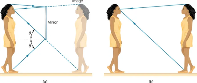 Figure 1.8 (a) Your image in a mirror is behind the mirror. The two rays shown are those that strike the mirror at just the correct angles to be reflected into the eyes of the person