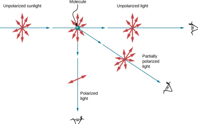 Figure 1.41 Polarization by scattering. Unpolarized light scattering from air molecules shakes their electrons perpendicular to the direction of the original ray