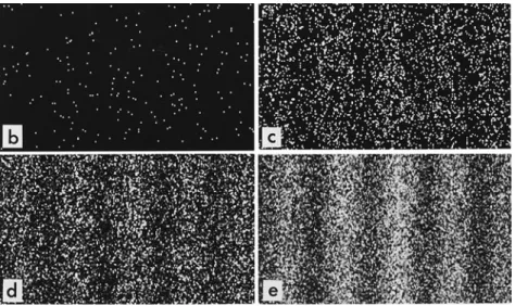 FIGURE 1.4. Four images from the 1989 experiment at Hitachi showing the impact of individual electrons gradually building up to form an interference  pat-tern