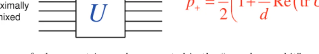 Fig. 4. Two quantum systems that may be hard to simulate classically. (a) A quantum circuit with commuting gates