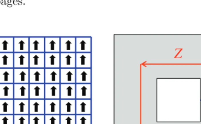 Fig. 6. A prototypical classical memory is a ferromagnet, and a prototypical quantum memory is a topologically ordered medium.