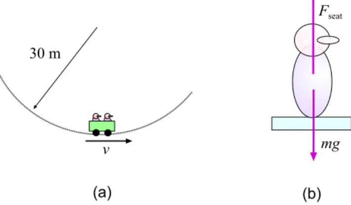 Figure 5.11: (a) Roller coaster with passengers at a dip. (b) The forces acting on a passenger at the bottom of the dip.
