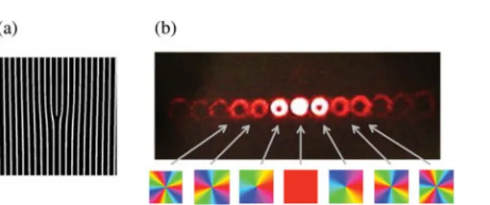 Figure 3.3b shows the diffraction pattern produced by a forked amplitude grating (a), where the diffraction orders n are LG modes with n = 