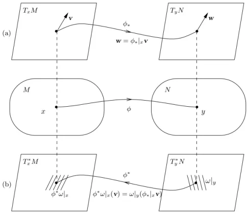 Fig. 4.2. (a) The derivative mapping φ ∗ (b) The pullback mapping φ ∗