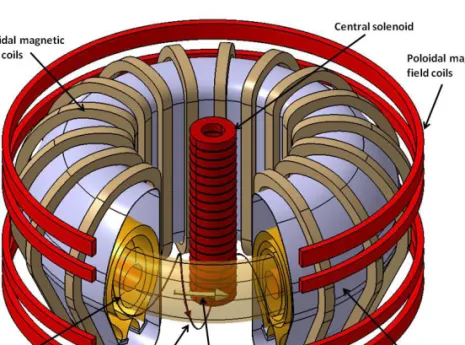 FIG. 1.12. Schematic of a tokamak.