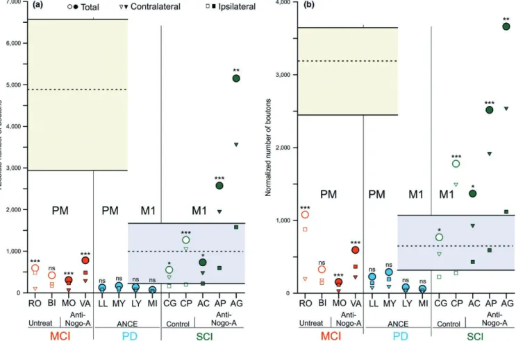 Figure S1). These bilateral comparisons were based on para- para-metric paired t- test (and nonparapara-metric Wilcoxon when  re-quired) applied to each of the consecutive individual sections  analysed along the rostrocaudal axis (usually 12 sections  over