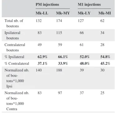 Figure 3a also indicates for each monkey the bilateral dis- dis-tribution of corticobulbar boutons in PMRF (ipsilateral vs