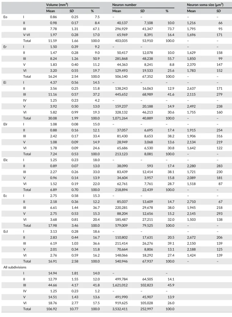 TABLE 2 Volume, neuron number, and neuron soma size in the different layers of the seven subdivisions of the rhesus monkey entorhinal cortex