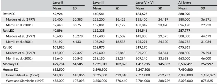 TABLE 3 Number of neurons in the different layers of the entorhinal cortex in rats and humans