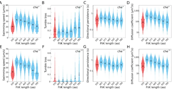 Fig 2. Single-cell motility performance of hook-length variants in quasi-2D. (A-D) Distributions of single-cell motility parameters for different hook-length mutants in a wt background (che + )