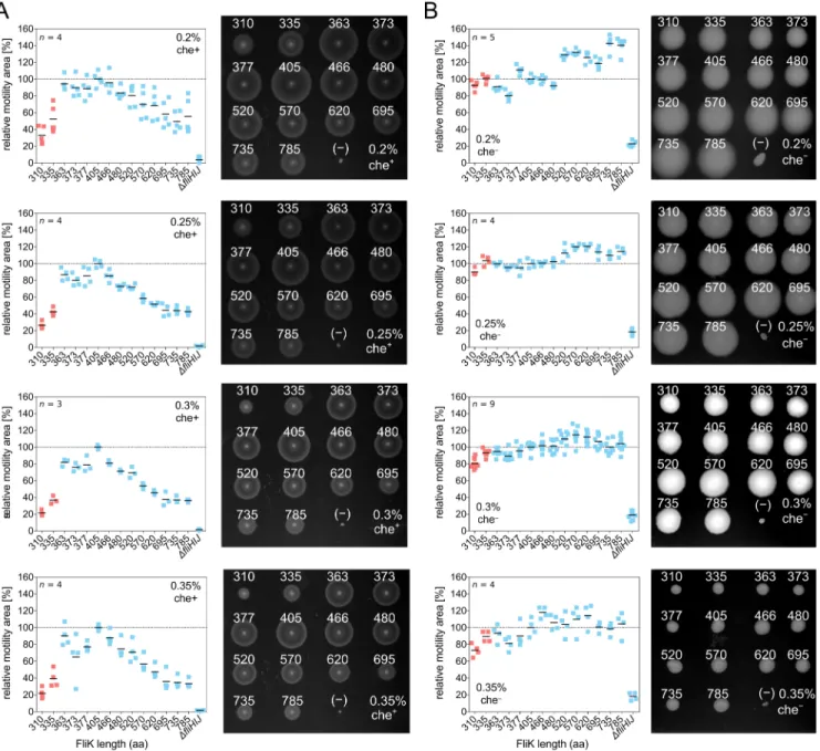 Fig 3. Motility behavior of chemotactic and non-chemotactic hook-length variants in semisolid agar