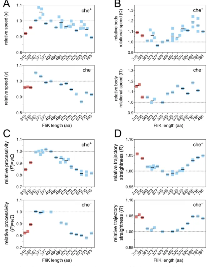 Fig 4. Motility performance of hook-length mutants in 3D. (A) Swimming speed v, (B) body rotational speed O, (C) processivity P = v/