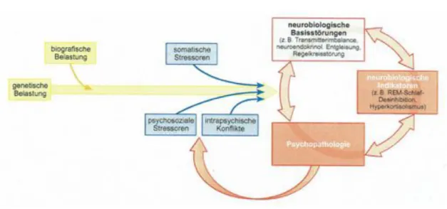 Abbildung 5: Integratives psychosoziales Modell zur Ätiopathogenese depressiven Störungen (Lieb u.a.,  2012, S