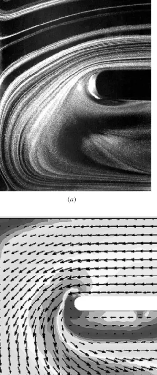 Fig. 1.18. Two visualizations of flow making a 180  turn in a serpentine channel: (a) particle streaklines at a Reynolds number of 1000; (b) time-mean particle image velocimetry (PIV) at a turbulent Reynolds number of 30,000 (From Ref