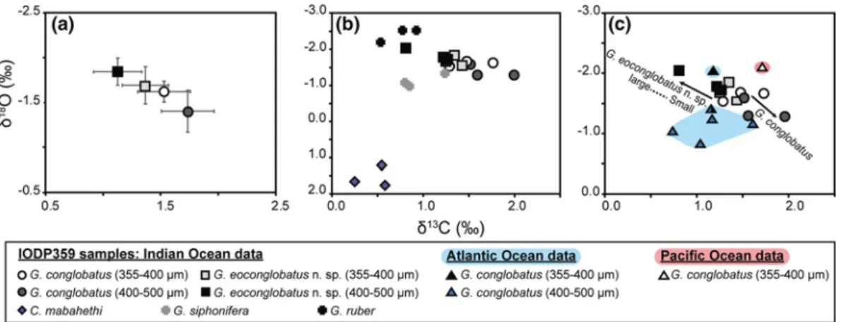 Fig. 9 Stable isotope (d 18 O and d 13 C) values of G. eoconglobatus n.