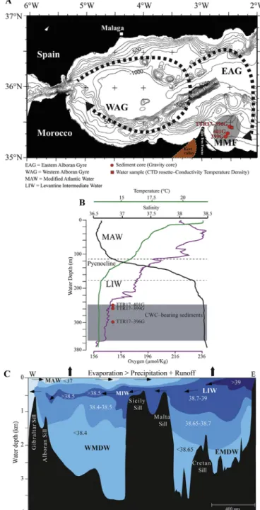 Fig. 1. A. Location map of the study area in the Eastern Alboran Sea. The shaded area shows the location of the CWC provinces Melilla Mounds Field (MMF)
