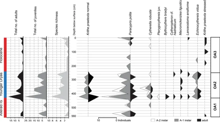 Fig. 2 Diversity, abundance and ostracod assemblages in core TTR17-401G