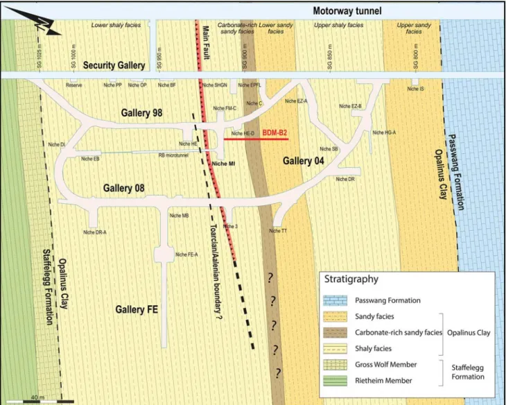 Fig. 3 Map of the Mont Terri rock laboratory with distribution and thicknesses of major lithofacies