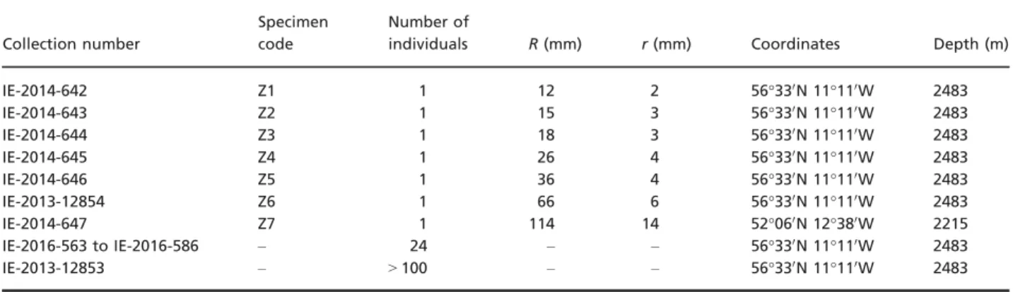 Table 3). At R = 1.05 mm, the shape of the terminals does not change, they still contribute for half of the radius (Table 3), but radial plates are forming thereby pushing the terminals distally to form short arms