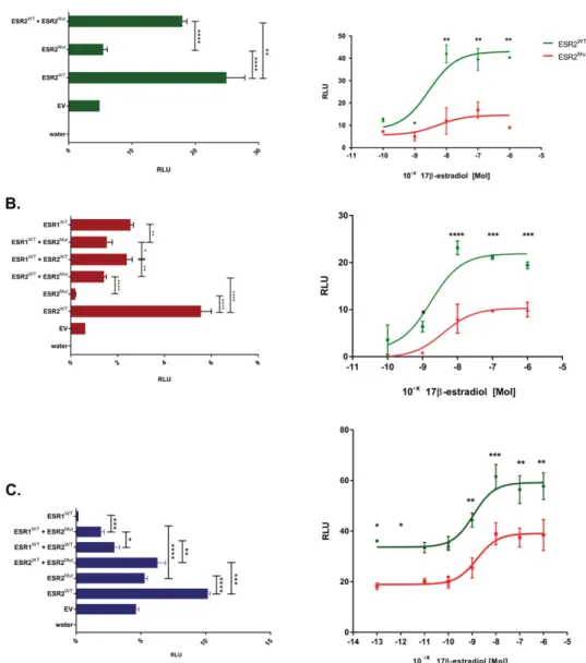 Figure 2. Reduced estrogen receptor activity. Transactivation of an estrogen responsive element (ERE) upstream of the luciferase construct revealed greatly reduced activity (measured as relative light units, RLU) by the mutated ESR2 (ESR2 Mut ) compared wi