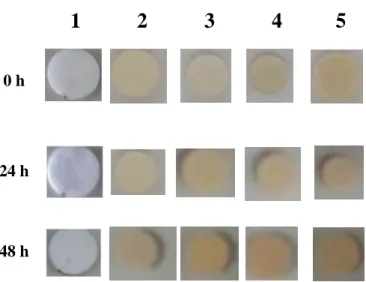 Fig. S3. Air/light stability of silver(I) complexes 1 – 5. 