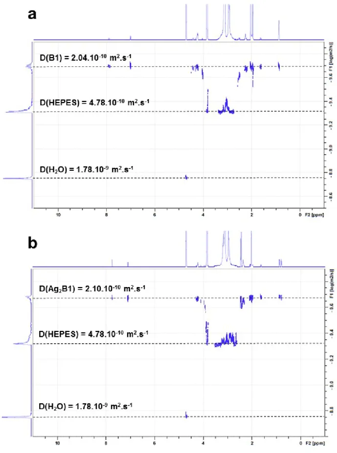 Figure  S5. DOSY spectra of  B1 (a) and Ag 2 B1 (b) (1 mM B1, HEPES  20 mM in D 2 O, pD 7.8, addition of 4 eq