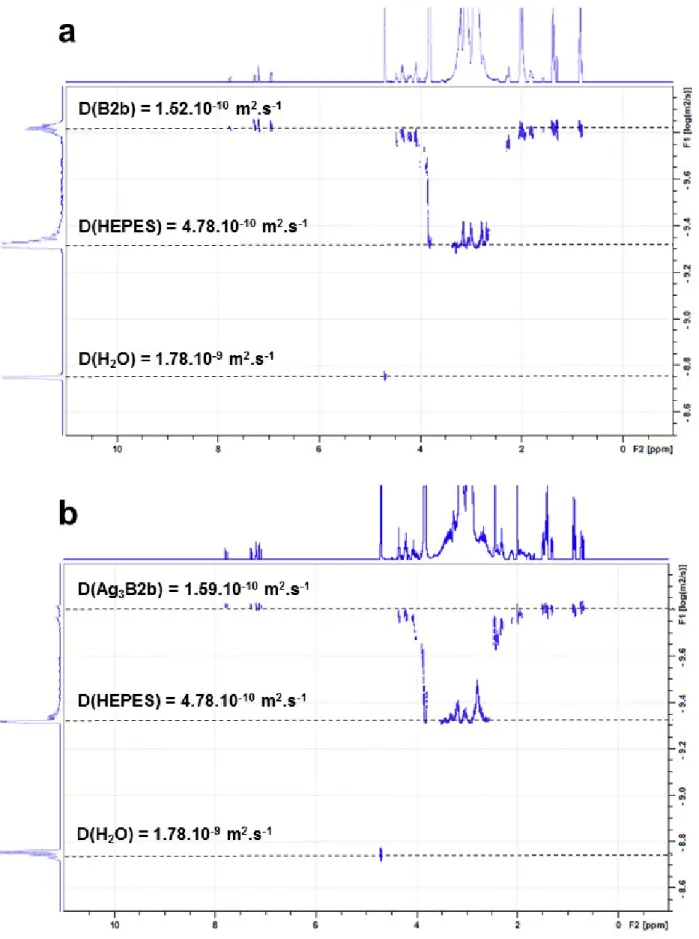 Figure S7. DOSY spectra of B2b (a) and Ag 3 B2b (b) (200 µM B2b, HEPES 20 mM in D 2 O, pD 7.8, addition of 10 eq