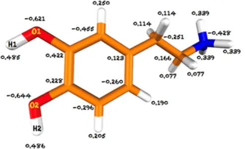 Figure SI 2: Schematic representation of the dopamine molecule and the RESP charges used  during MD simulation
