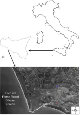 Figure  1.  The geographic location of the “Foce del Fiume Platani” Nature Reserve on the  southwestern coast of Sicily