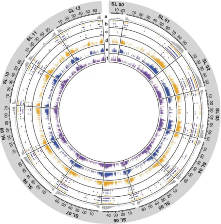 Figure 2. Circos graph representing gene expression and candidate imprinted genes (IGs) in each wild tomato lineage (14 021 genes represented in total).