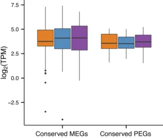Figure 5. Box plots representing the distribution of expression levels [log 2 (TPM) values] across lineages A (orange), C (blue) and P (purple) for conserved maternally expressed genes (MEGs; 42 genes) and paternally expressed genes (PEGs; 17 genes)