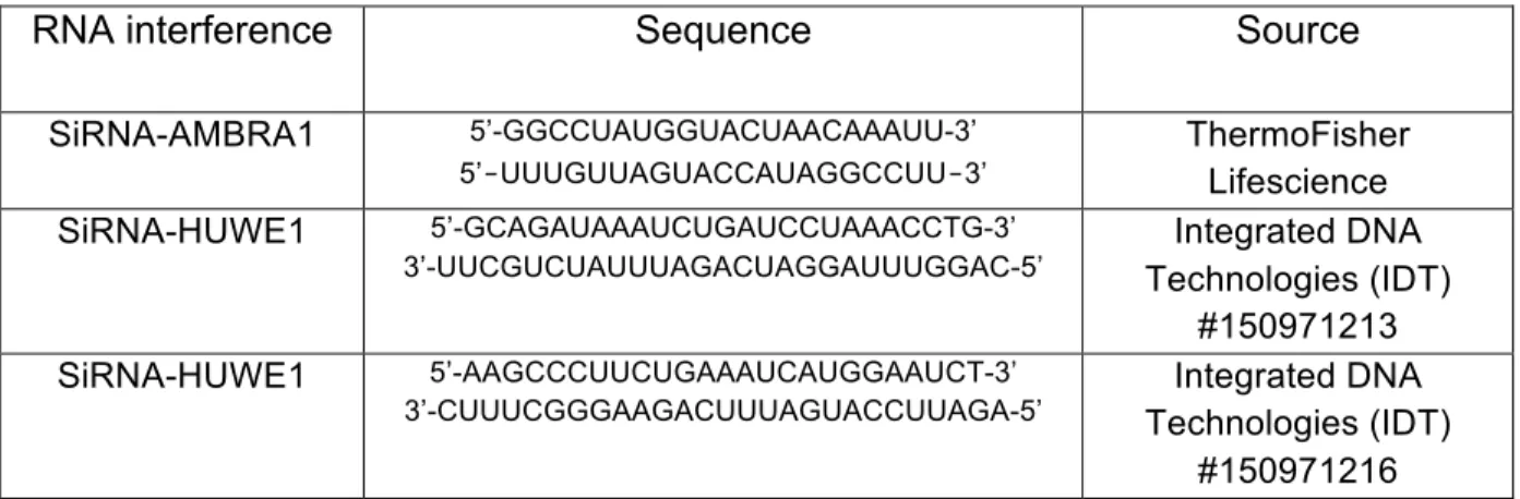 Table 4. List of oligos RNA interference 