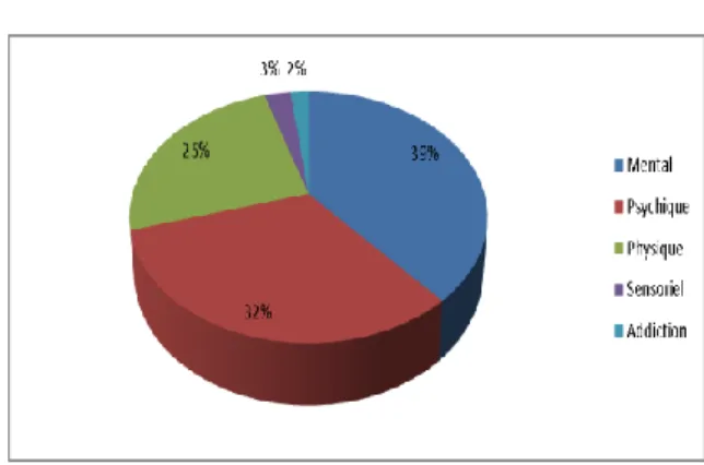 Graphique pourcentage de collaborateurs par type de handicap (2014) 